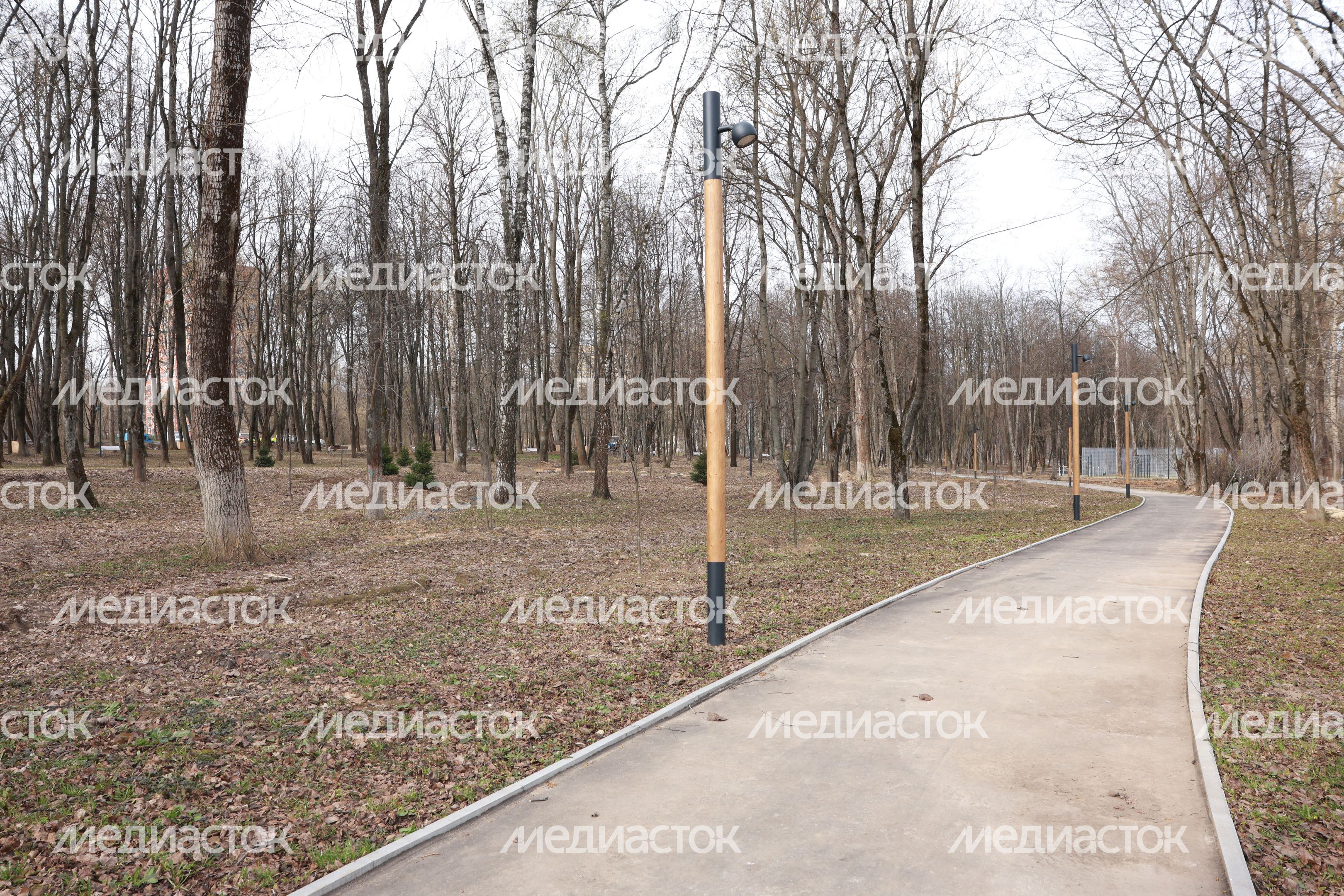 В Щелково продолжается благоустройство Центрального парка В Щелково продолжается благоустройство Центрального парка