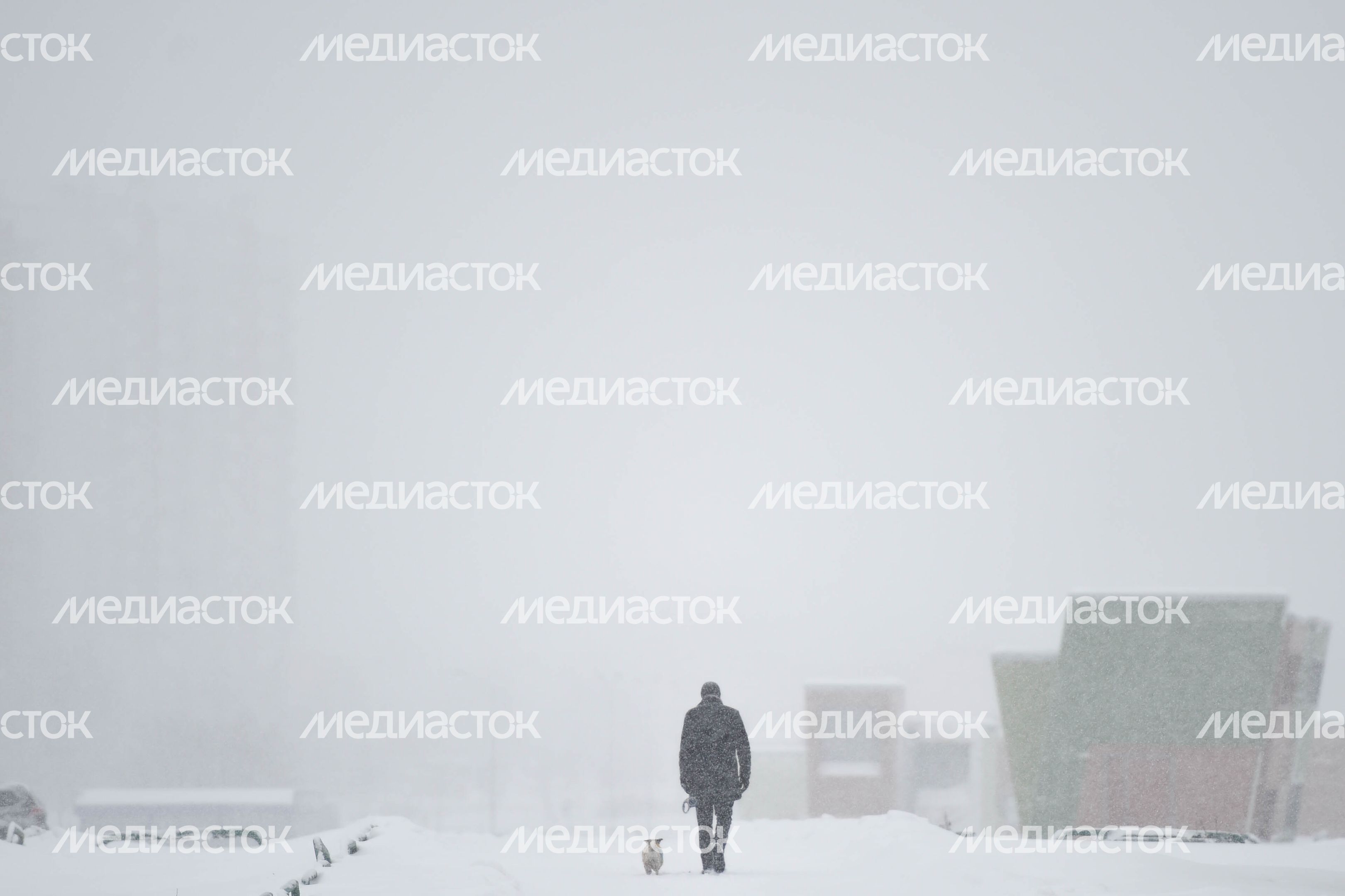 Рекордный снегопад в Москве и Подмосковье