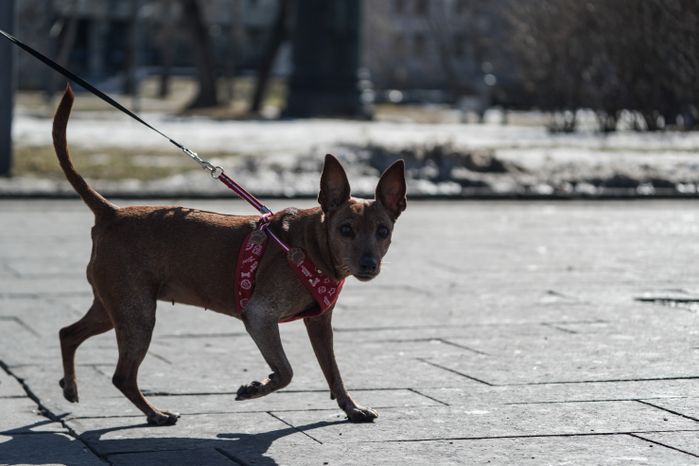 Повседневная жизнь в Москве