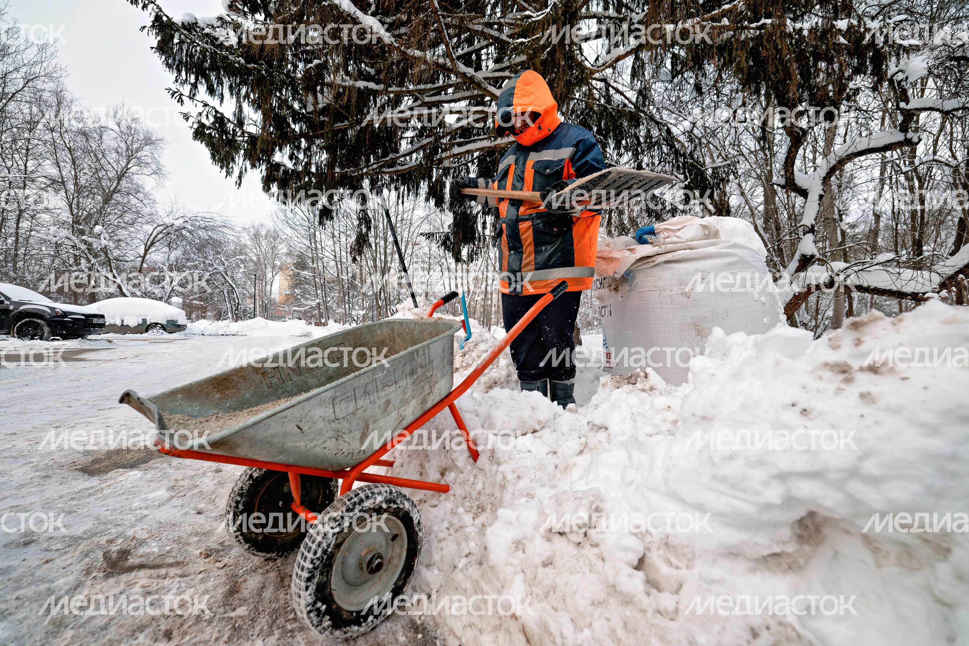 Дворник посыпает дорожку противогололедной смесью после уборки снега в поселке Большие Вяземы Одинцовского округа Дворник посыпает дорожку противогололедной смесью после уборки снега в поселке Большие Вяземы Одинцовского округа