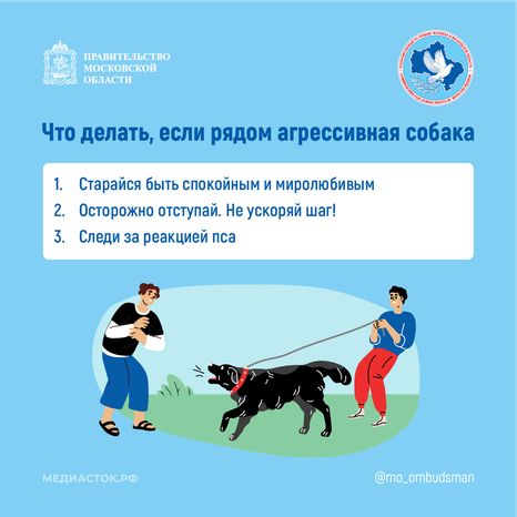 Осторожно злая собака квадрат 03