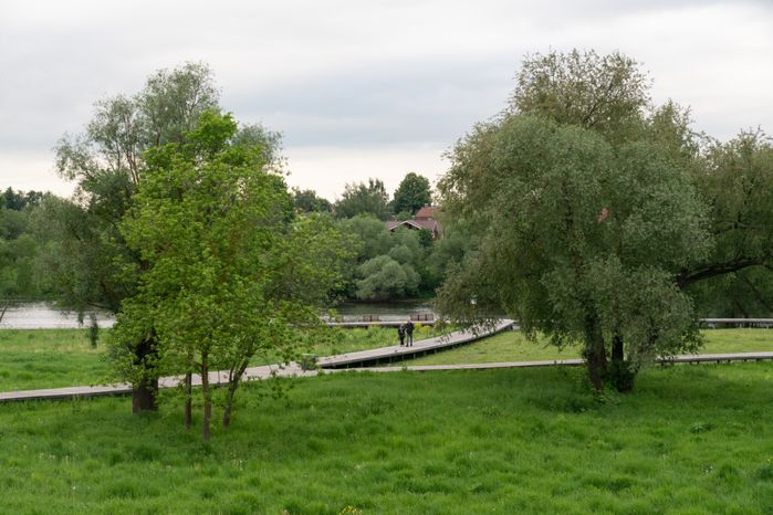 Парк Кривякино