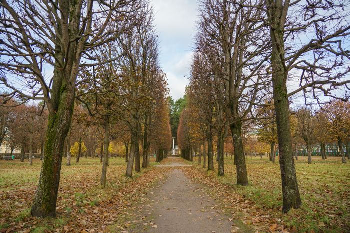Красногорск. Усадьба Архангельское