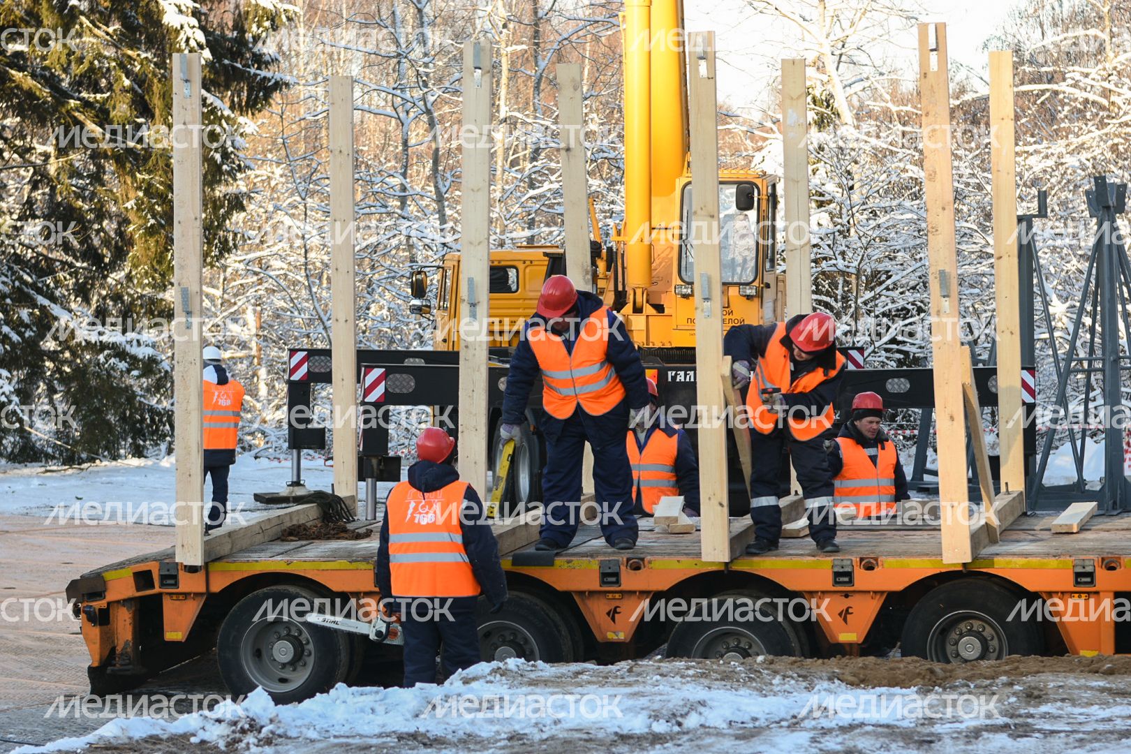Сруб главной новогодней ели страны в Щелковском районе Подмосковья