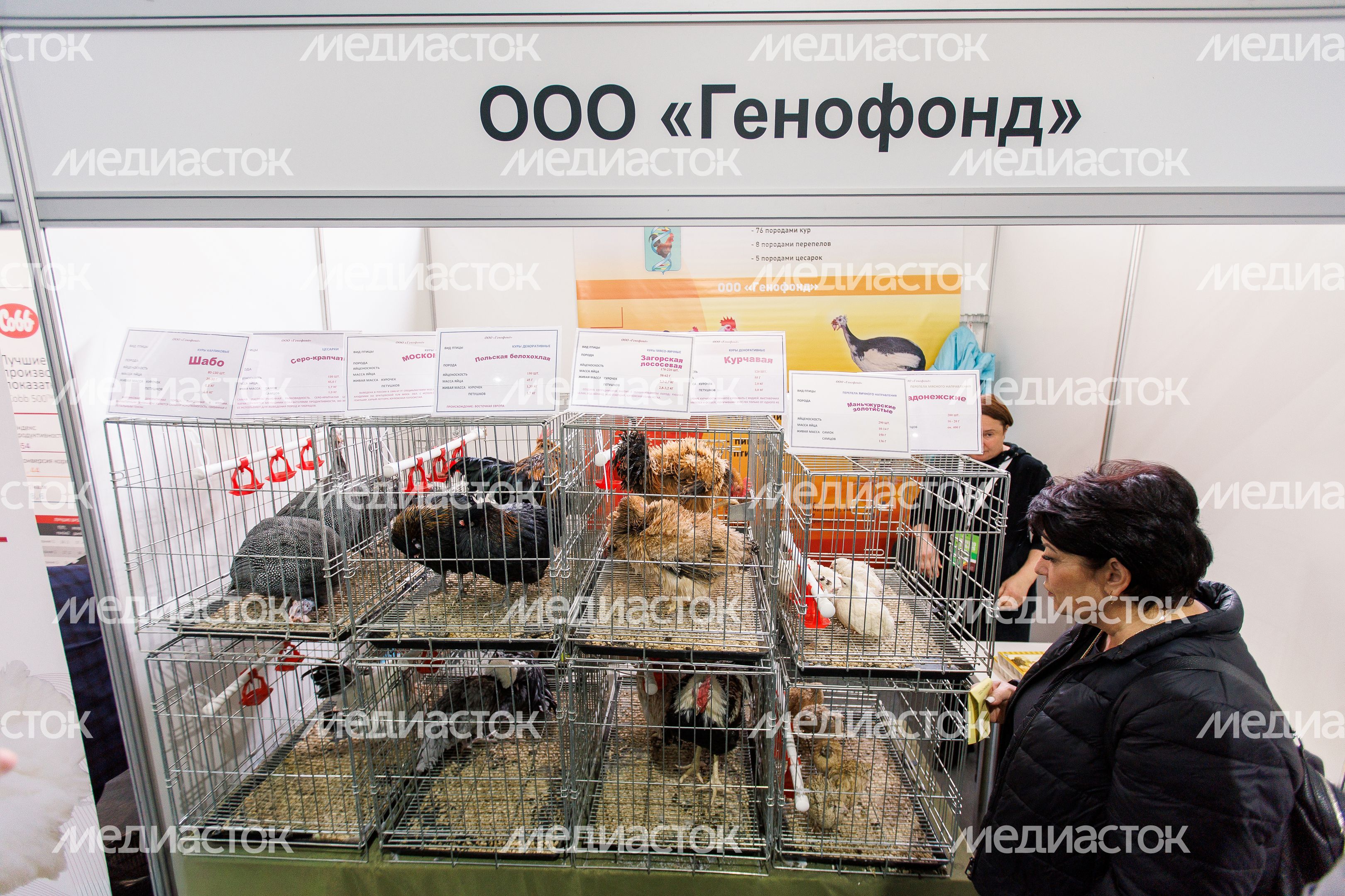 Стенд агропромышленного предприятия ООО «Генофонд» на выставке «Золотая осень-2025» в Москве Стенд агропромышленного предприятия ООО «Генофонд» на выставке «Золотая осень-2025» в Москве