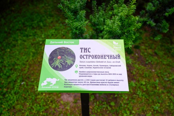 Эколого-просветительский комплекс "Дендрарий" в Мытищах