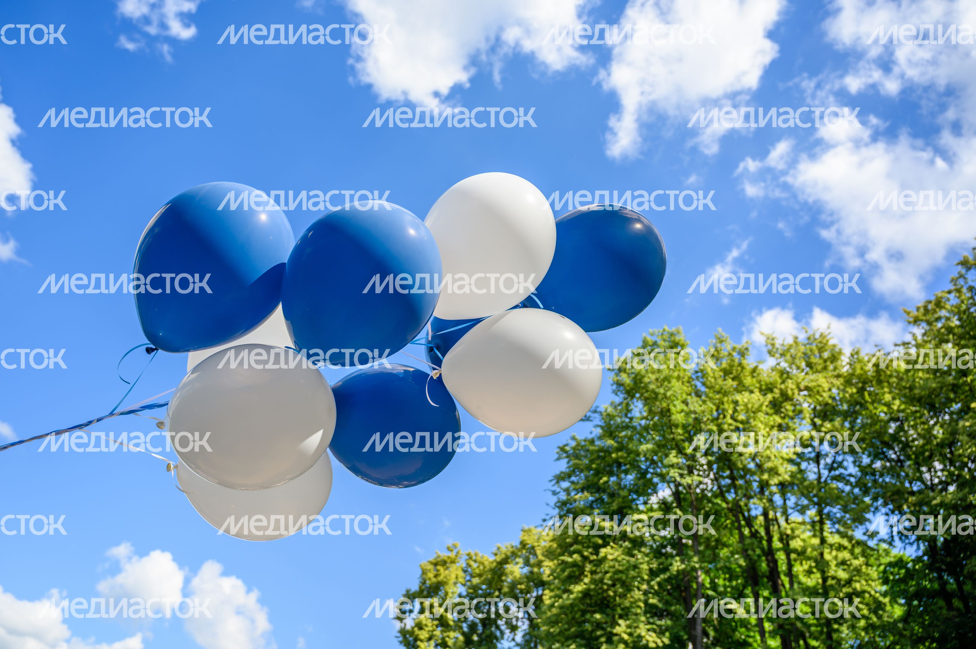 Соревнования на сапах в парке им. В. Талалихина Подольска Соревнования на сапах в парке им. В. Талалихина Подольска