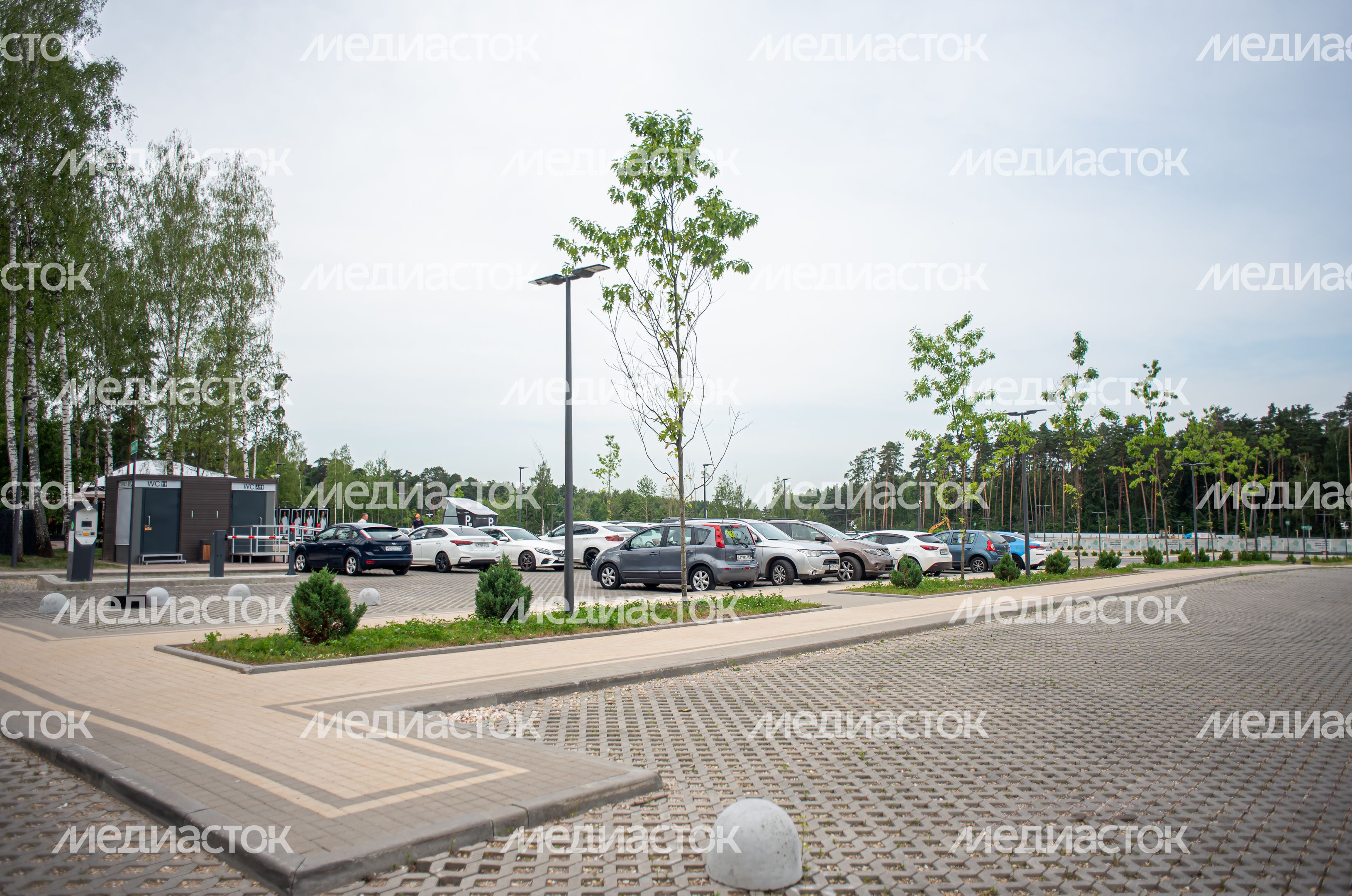 Летние виды Парка Малевича