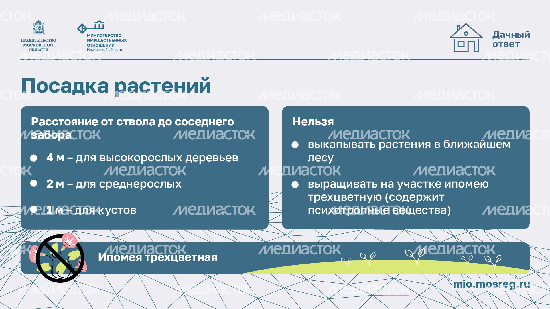 Дачный сезон штрафы-горизонталь-06