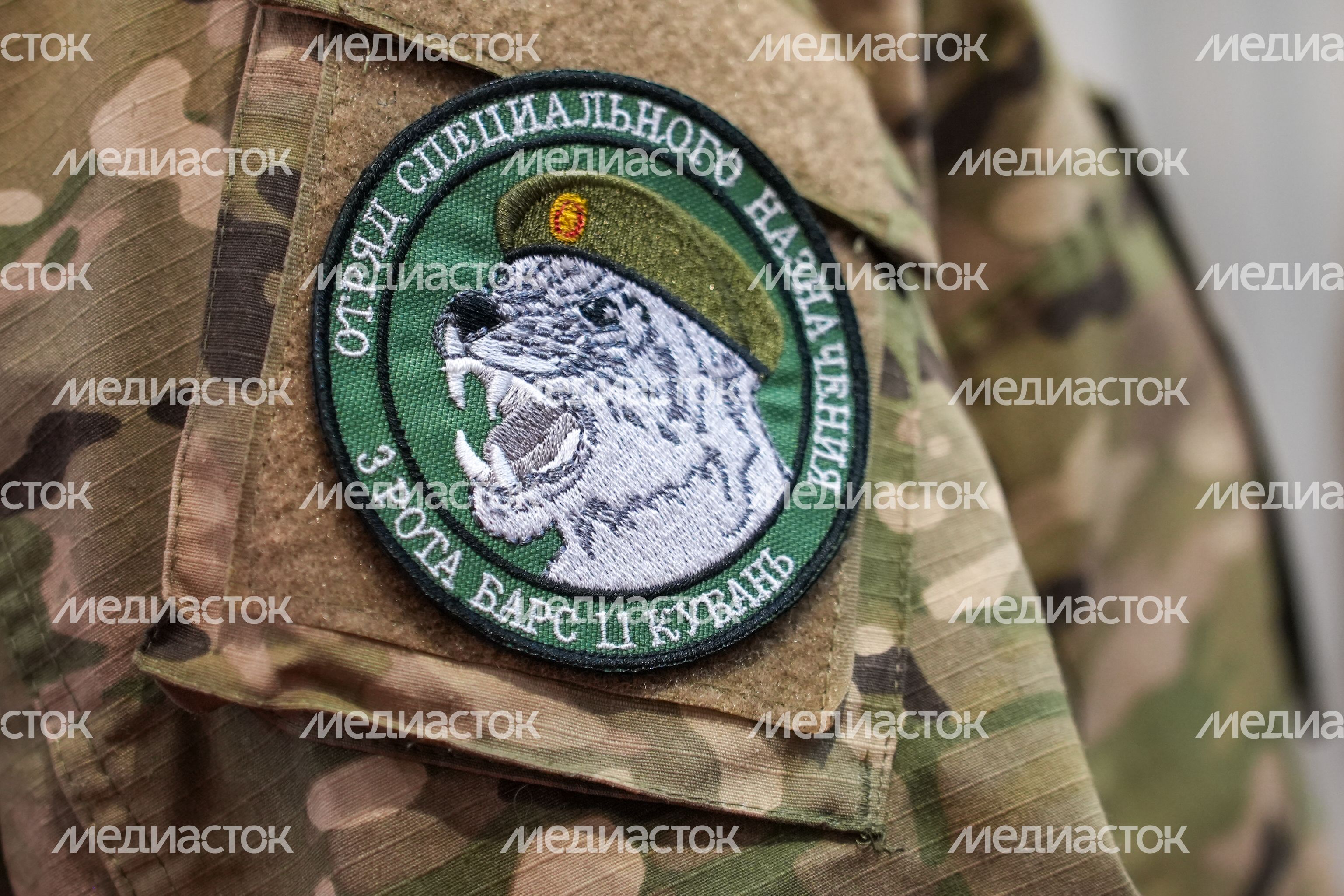 Вручение добровольцам отряда БАРС медалей "За храбрость" II степени Вручение добровольцам отряда БАРС медалей "За храбрость" II степени