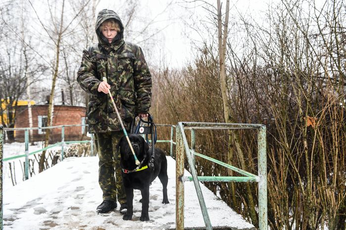 Школа собак‑проводников в Подмосковье