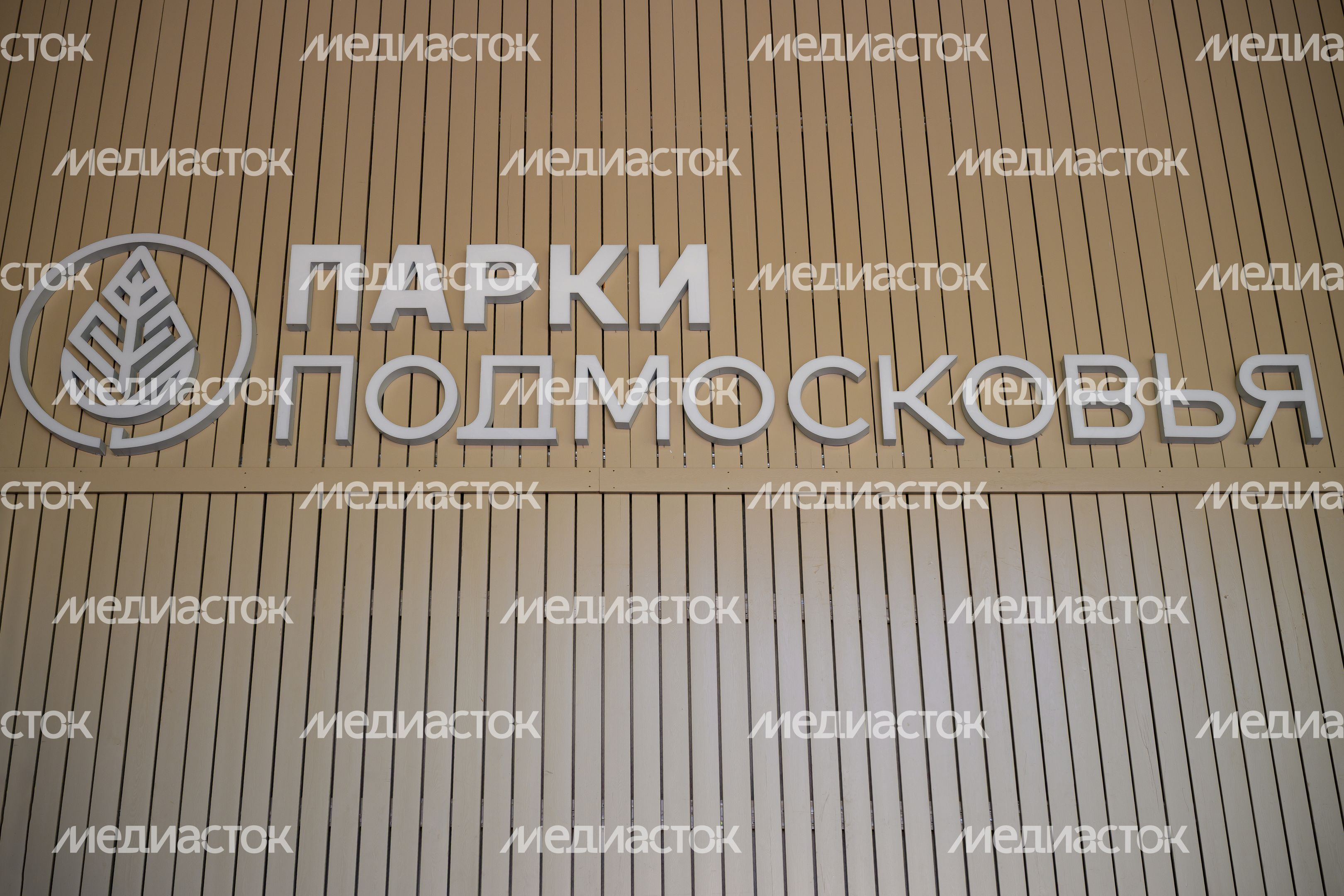 Зеленый театр в Красногорском городском парке после благоустройства