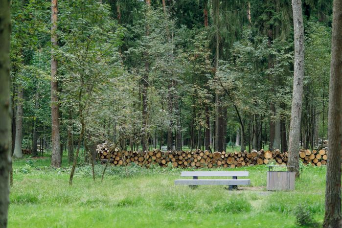 Истра. Лесопарк «Шишкин лес»