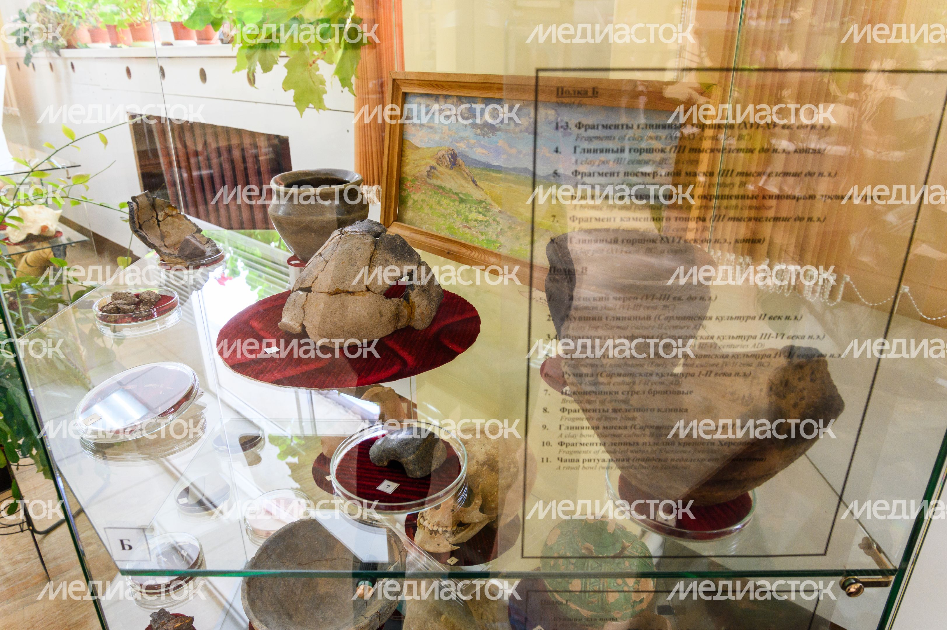 Пущинский музей экологии и краеведения