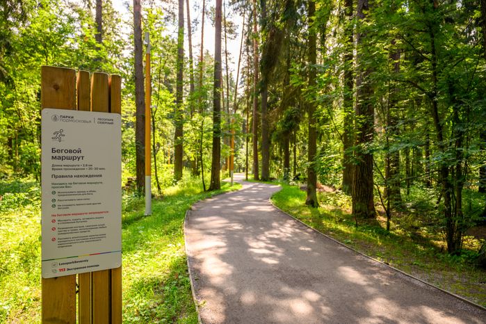 Лесопарк «Северный» в Пушкино летом