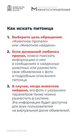Домашние животные вертикаль 07