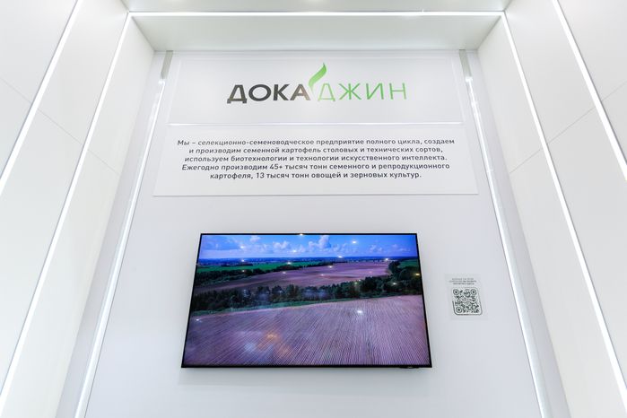 Стенд компании «Дока джин» на выставке «Золотая осень-2025»