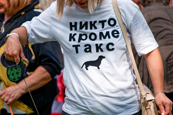 Фестиваль «Таксы Чехова» в Мелихово округа Чехов