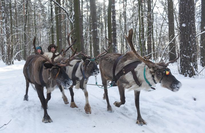Оленья ферма в Дзержинском