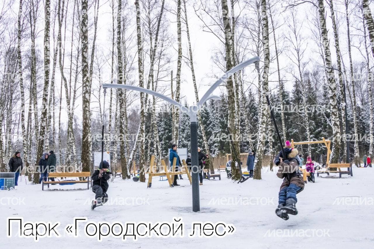 Рабочая встреча Губернатора Подмосковья с главой городского округа Домодедово