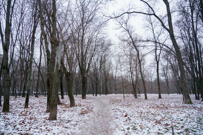 Люберцы. Наташинский парк