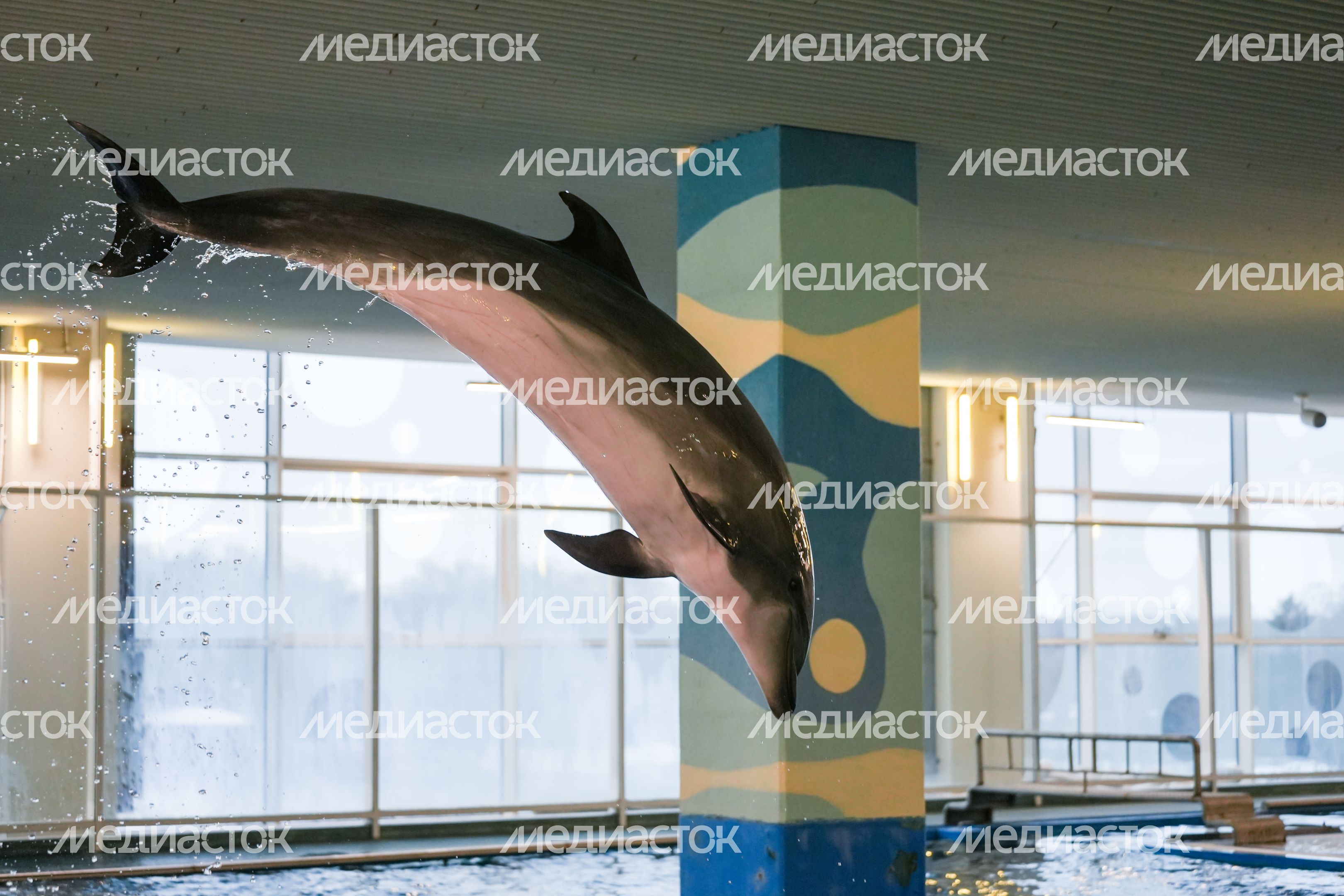 Исполнение мечты ребенка губернатором Подмосковья Исполнение мечты ребенка губернатором Подмосковья