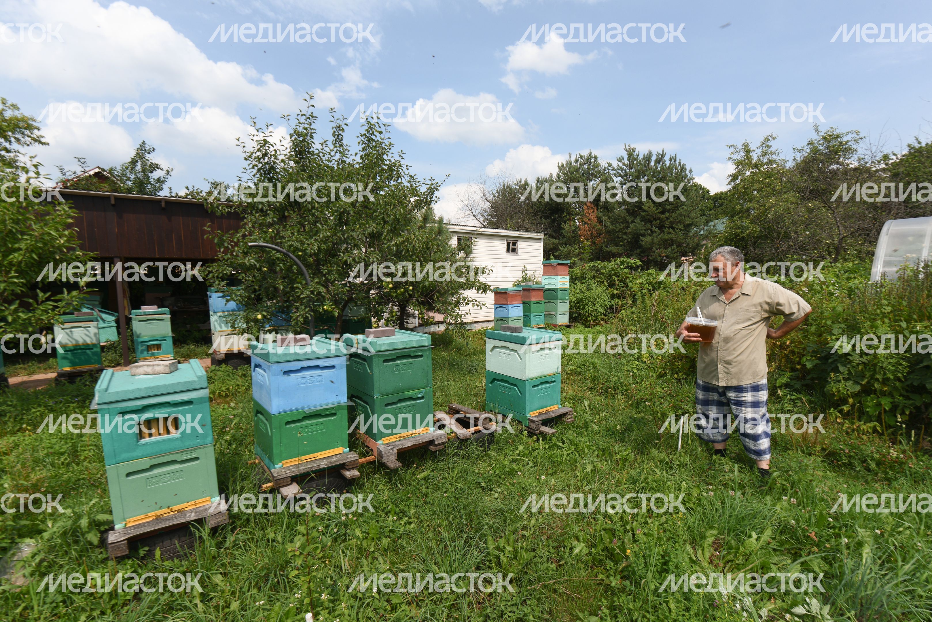 Пчеловод из Королева, 2 часть