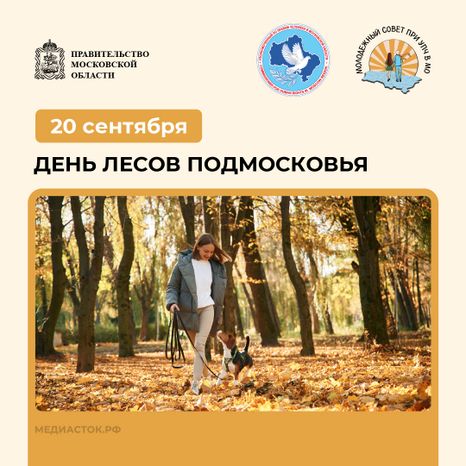 20 сентября квадрат 06