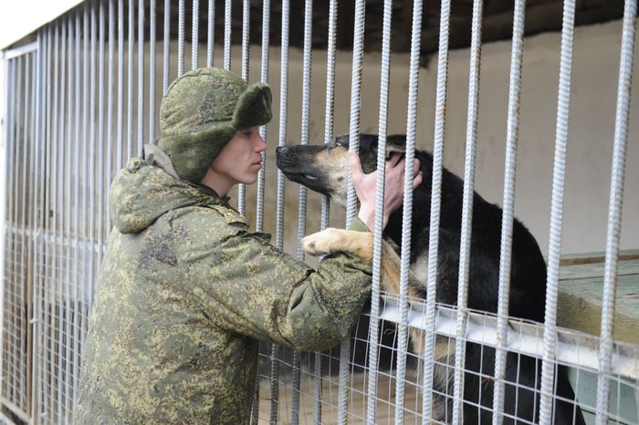 Учебный центр служебного собаководства в Дмитровском районе