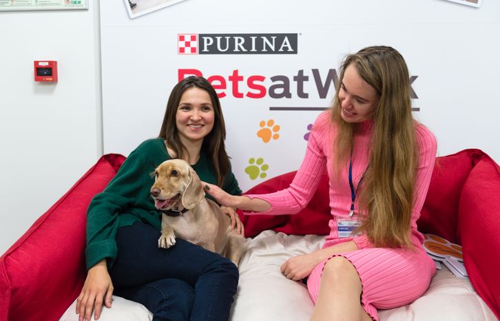 Pet‑friendly офис Purina
