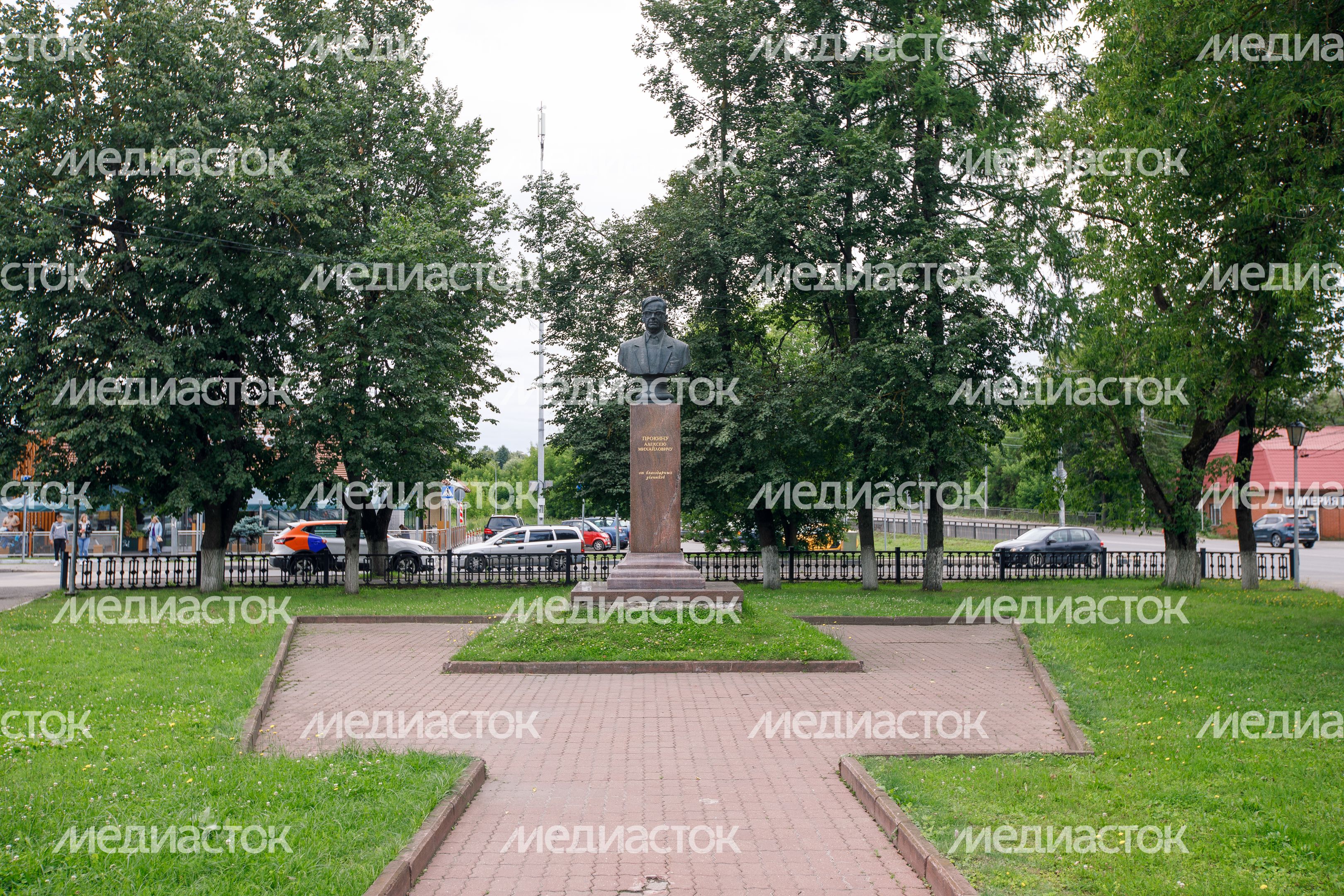 Чехов. Памятник Прокину А.М. Чехов. Памятник Прокину А.М.
