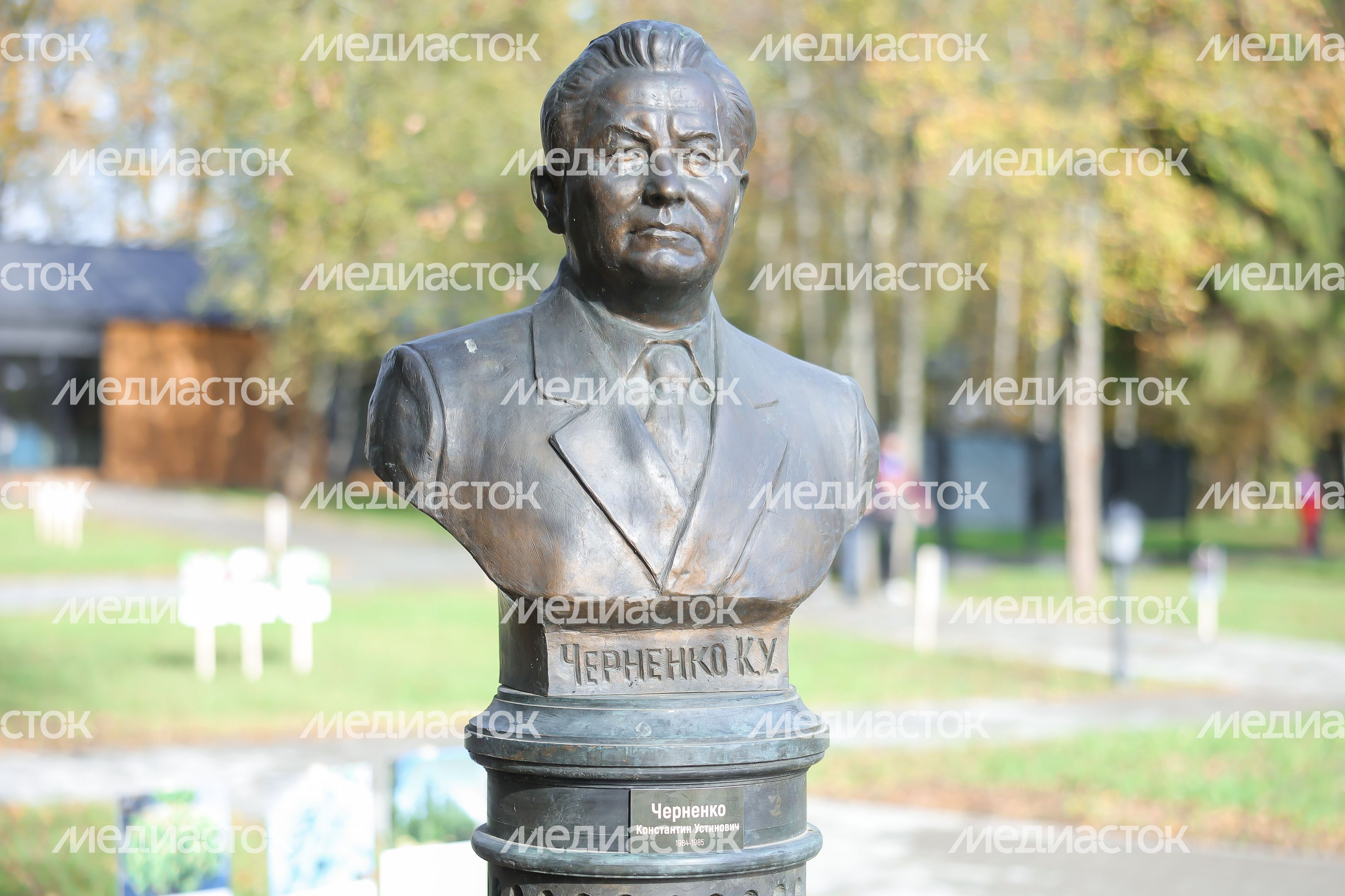 Бюст Константина Черненко в Аллее правителей в усадьбе Татищева под Солнечногорском Бюст Константина Черненко в Аллее правителей в усадьбе Татищева под Солнечногорском