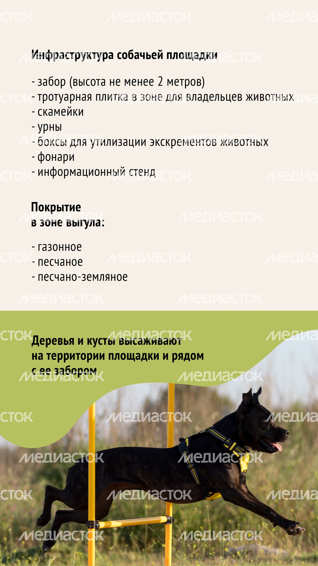 Голосование. Собачьи площадки-05.jpg