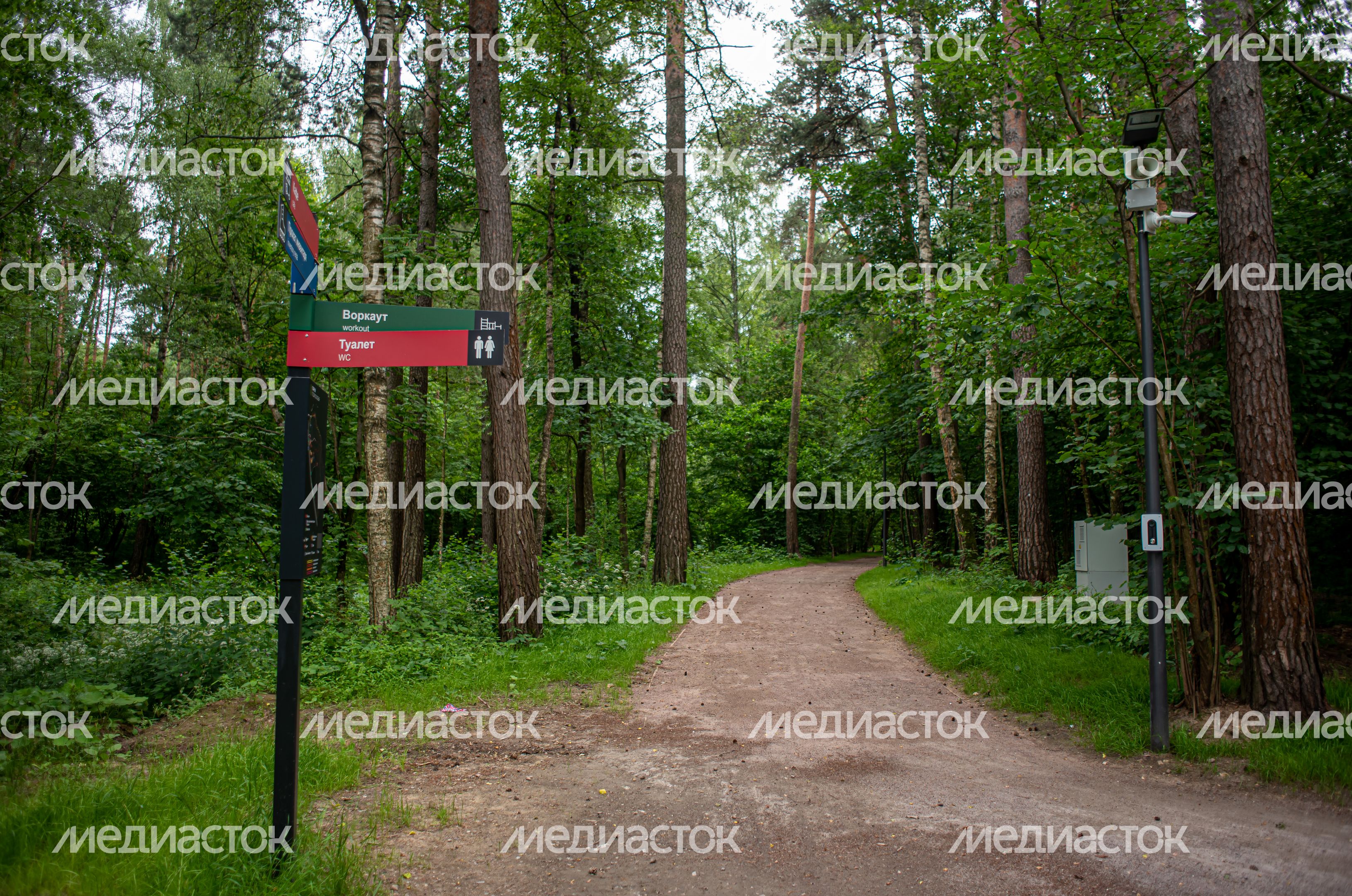 Летние виды Парка Малевича