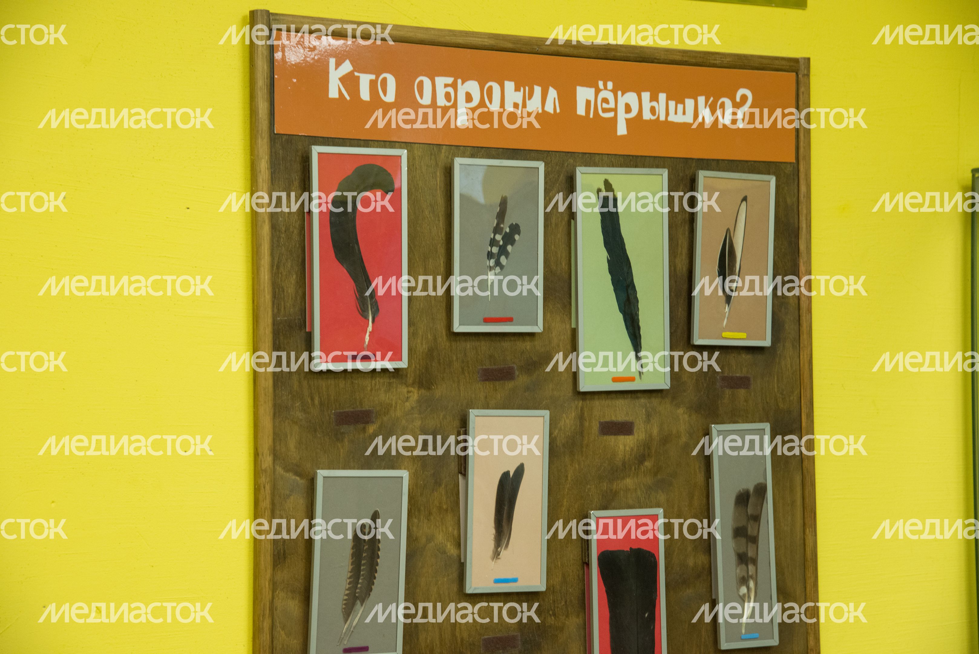 Историко-краеведческий музей Историко-краеведческий музей