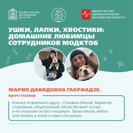 Ушки, лапки, хвостики квадрат 08