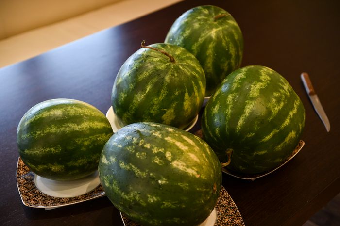 Эксперимент РИАМО: где купить самые вкусные арбузы в Москве