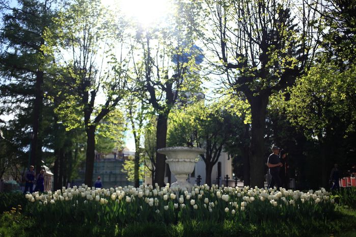Клумба на территории Троице-Сергиевой Лавры