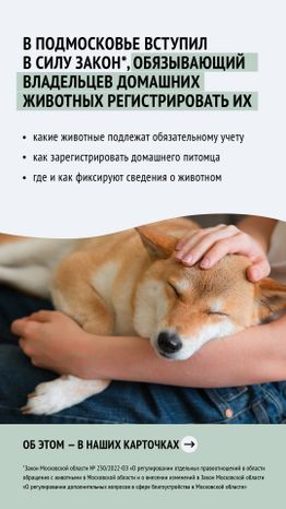 Вертикаль_ зарегистрировать домашнее животное_02-100.jpg