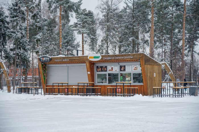 Балашиха. Пестовский парк. Зима