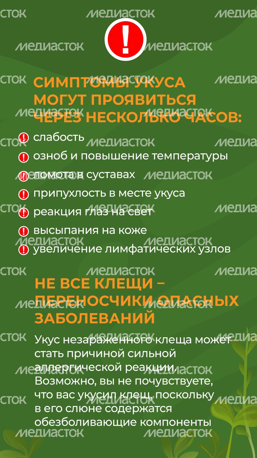 комлесхоз_клещи_верт_6