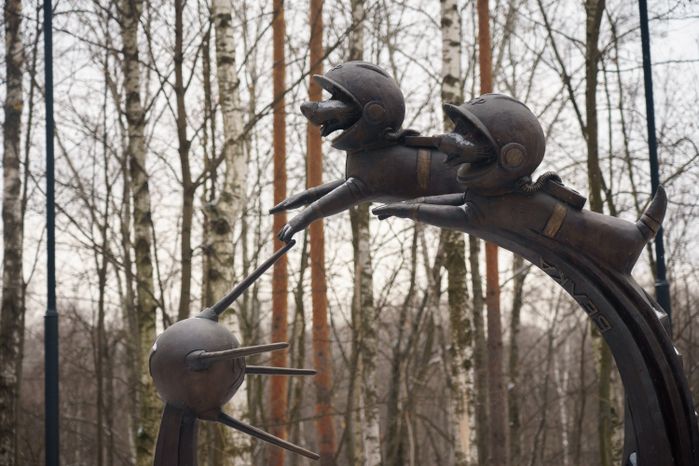 Люберцы. Томилинский лесопарк. Зима