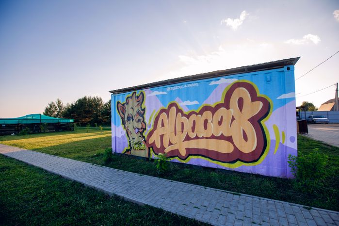Дмитров. "Российские альпаки"