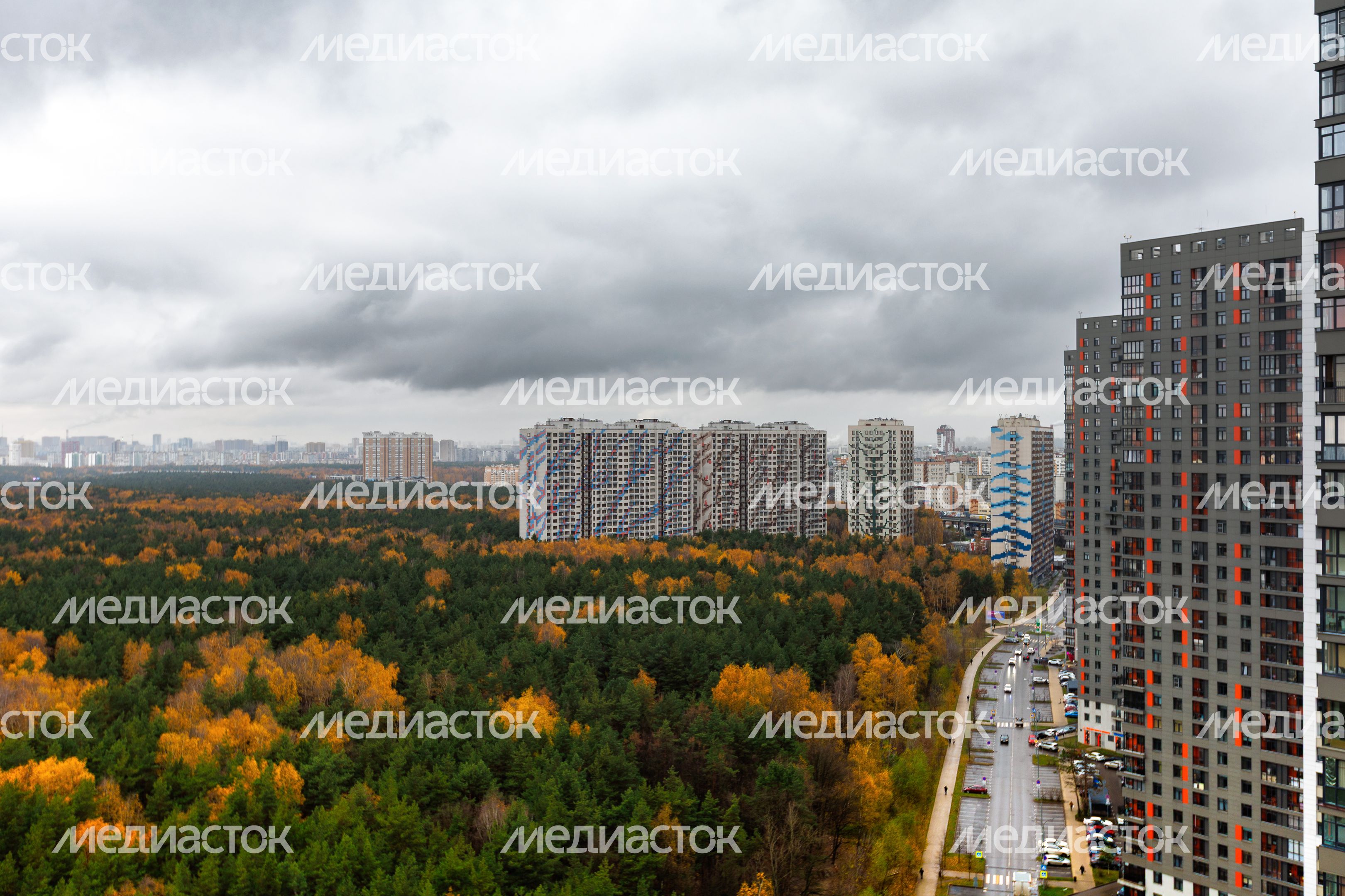 Лесопарк «Кузьминский лес» в Котельниках осенью Лесопарк «Кузьминский лес» в Котельниках осенью