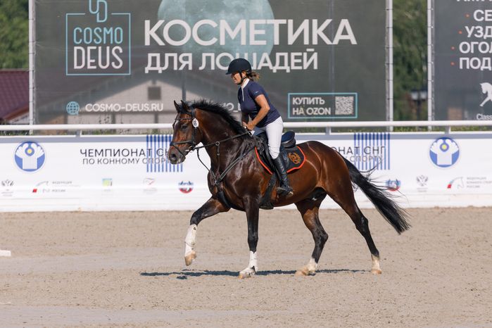 Всадник на Евразийских играх по конкуру в конноспортивном комплексе «Максима парк» в Дмитровском округе