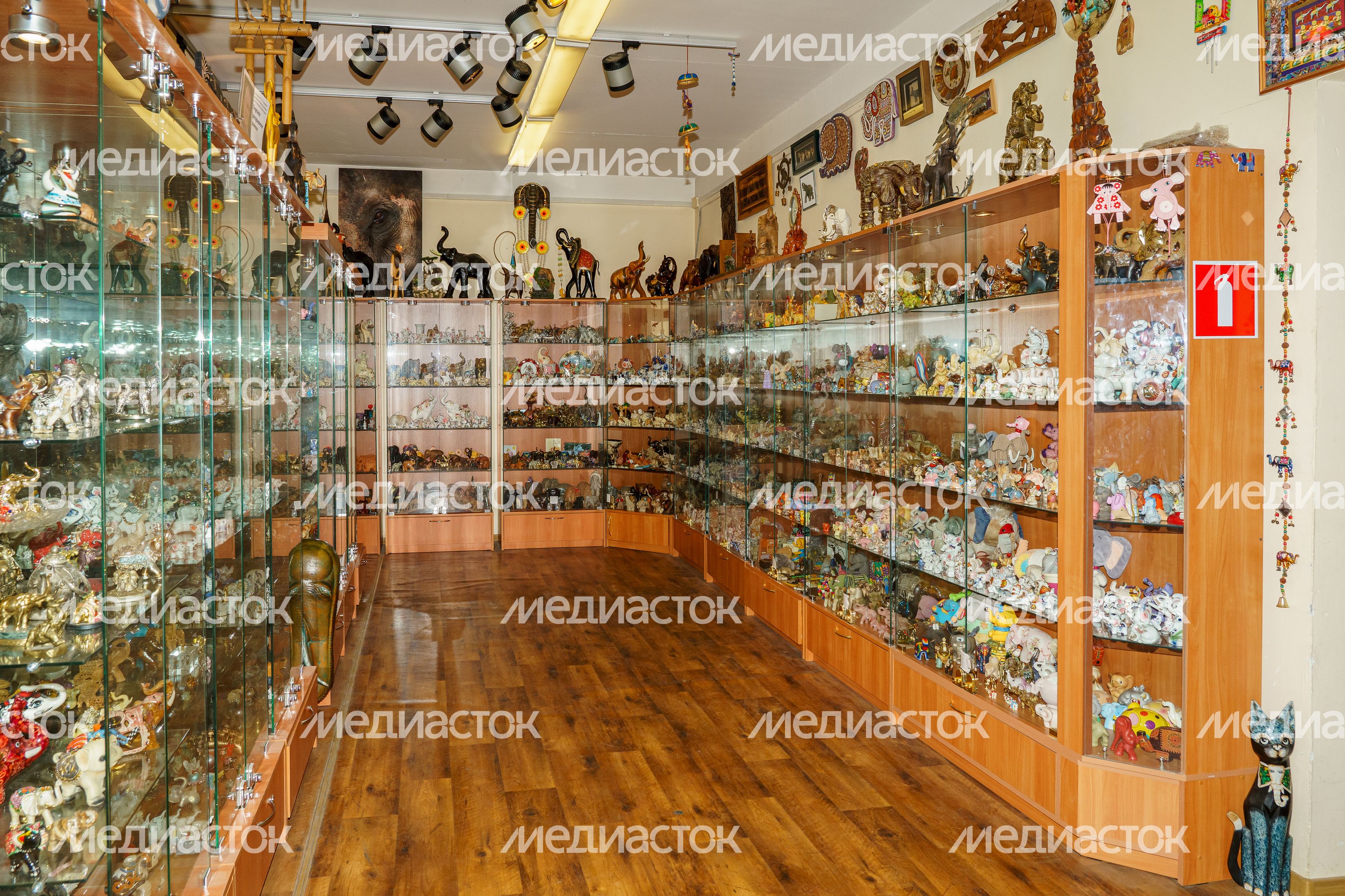 Жуковский. Пантелеимоновский Благовест. Музей слонов Жуковский. Пантелеимоновский Благовест. Музей слонов