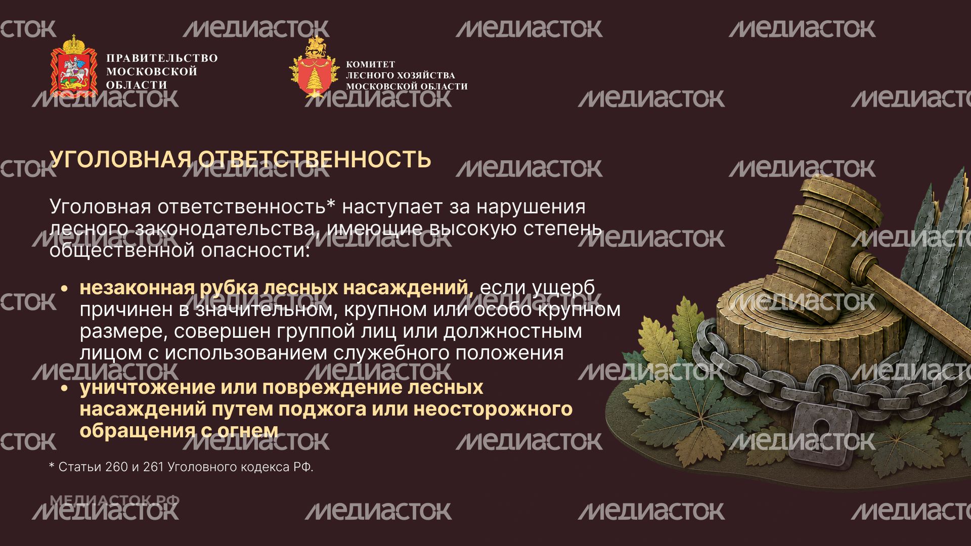 Самовольный захват и использование лесных участков горизонталь 06