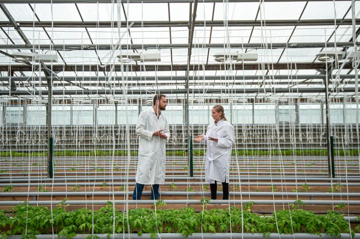 Теплицы крупного семеноводческого агропромышленного комплекса ООО «Агрофирма Партнер»