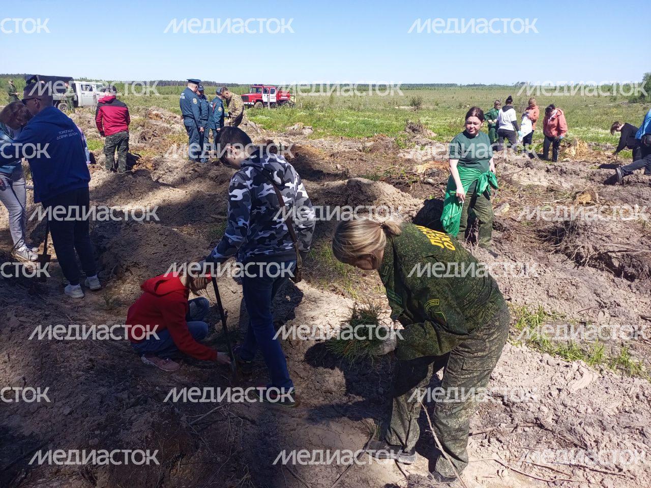 Настроение "Лес Будущего"-2024
