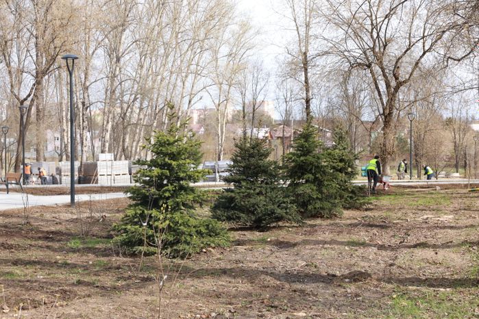 В Щелково продолжается благоустройство Центрального парка